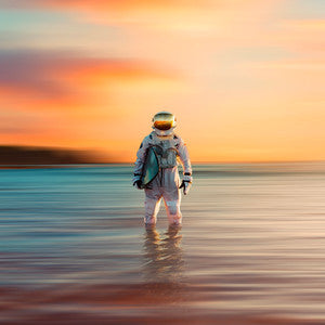 The Dangerous Summer - Gravity [White Vinyl]