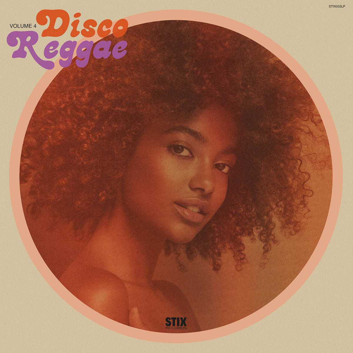 VARIOUS - DISCO REGGAE VOL. 4