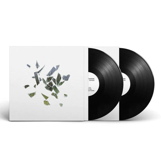 These New Puritans - Field of Reeds [2LP]