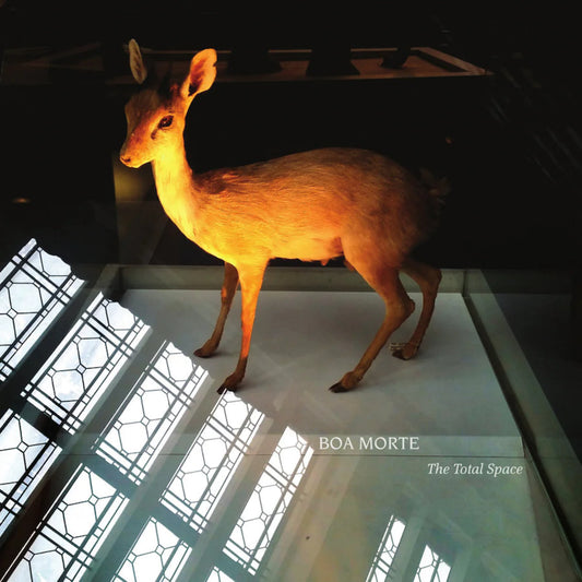 Boa Morte - The Total Space [CD]