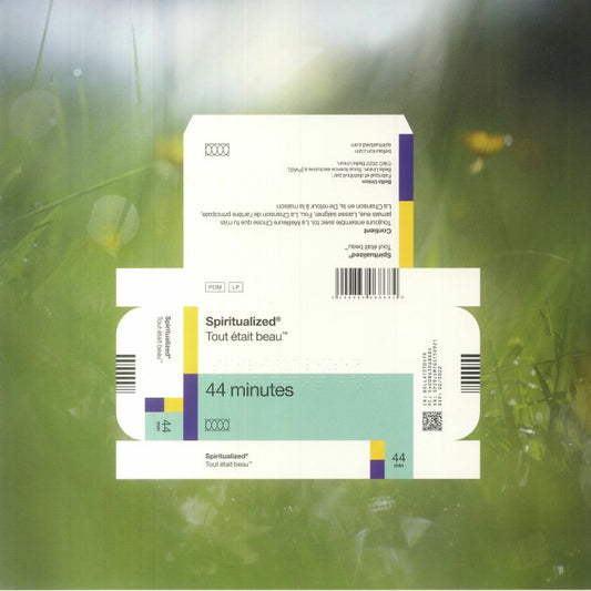 SPIRITUALIZED - EVERYTHING WAS BEAUTIFUL (French Edition)