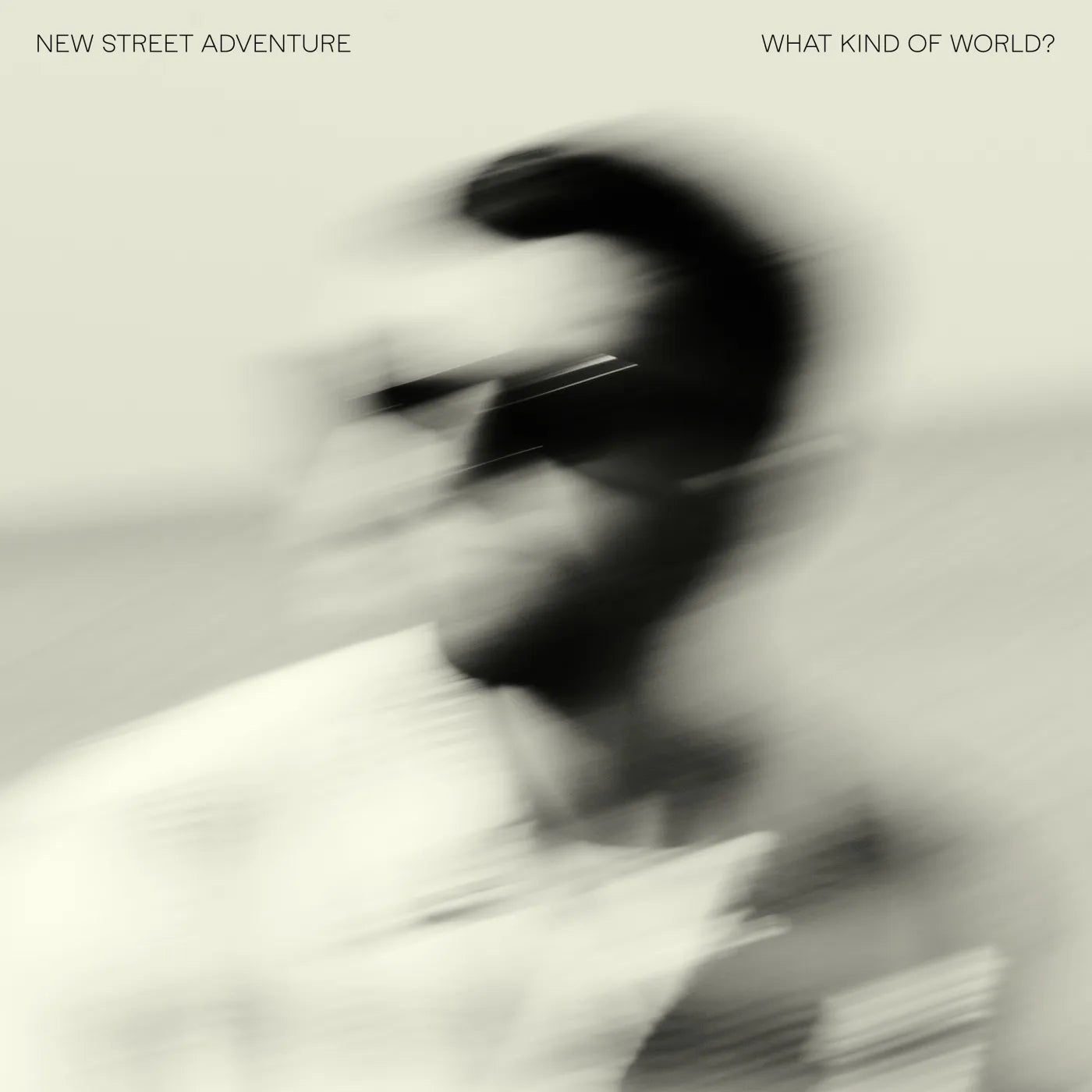 New Street Adventure - What Kind Of World? [CD]
