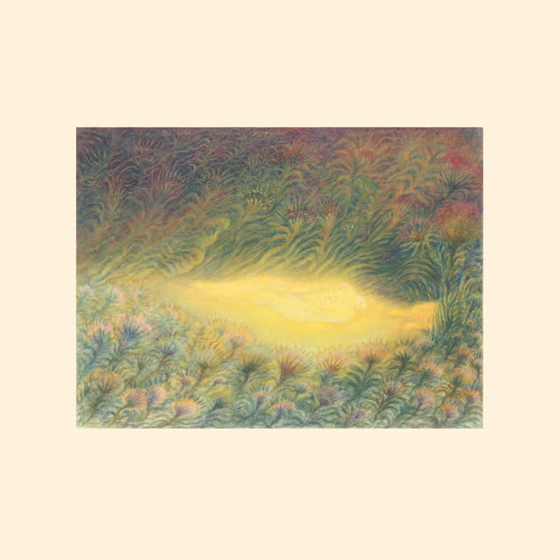 Sofie Birch & Antonina Nowacka - Languoria [Dark Green Vinyl Repress]