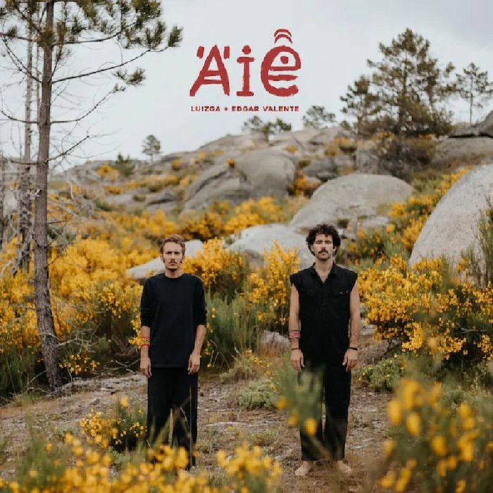 LUIZGA AND EDGAR VALENTE - AIE