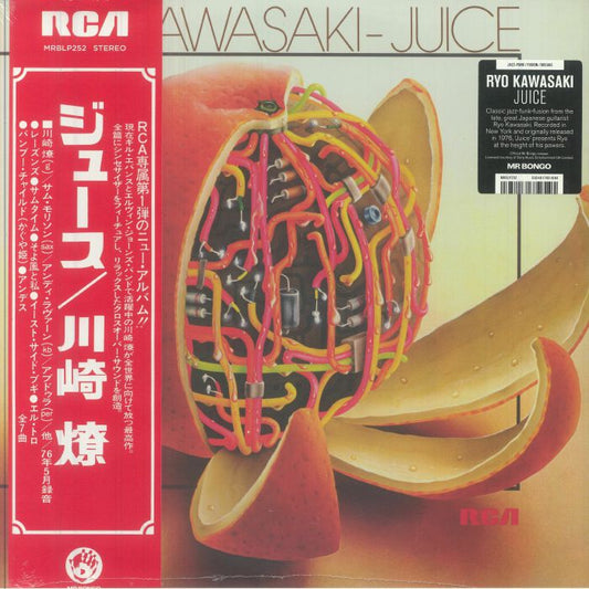 RYO KAWASAKI - JUICE
