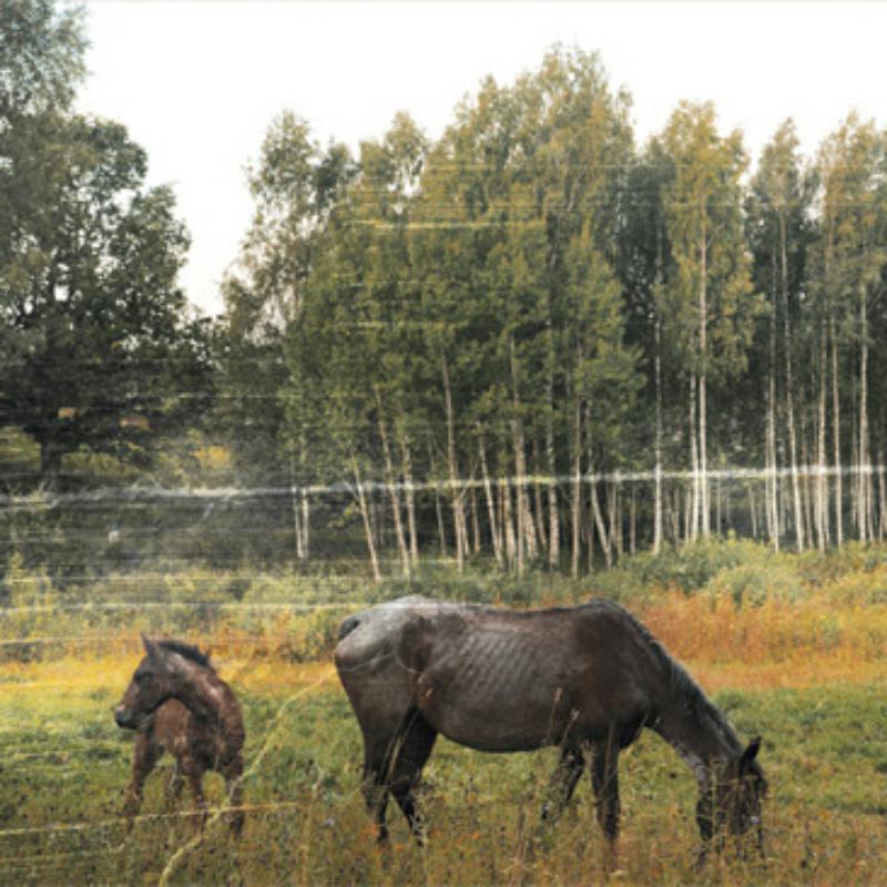 Pianos Become The Teeth - Old Pride [Forest Green Vinyl, Obi Strip, 24x48 Foldout Poster]