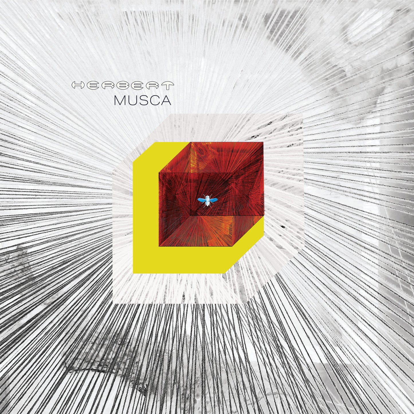 Herbert ~ Musca [2LP Black Vinyl]