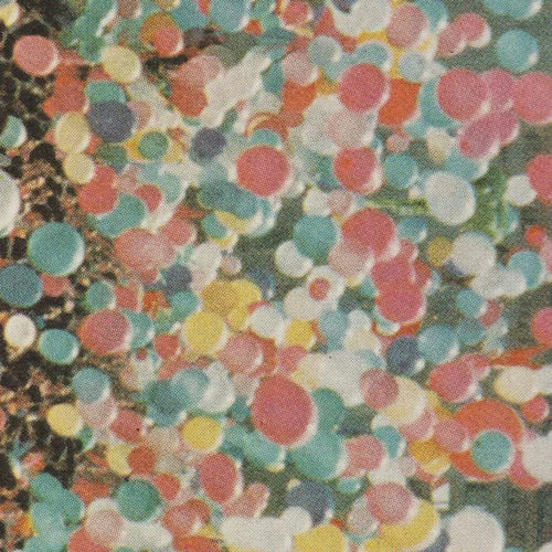 Van Houten - The Tallest Room [CD]