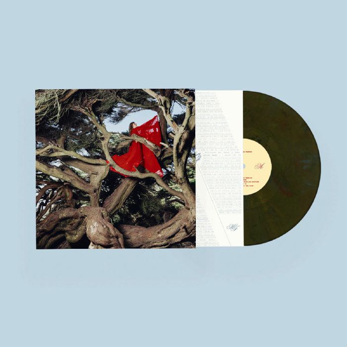 HANNAH FRANCES - Nested In Tangles (Cypress Swirl Vinyl)