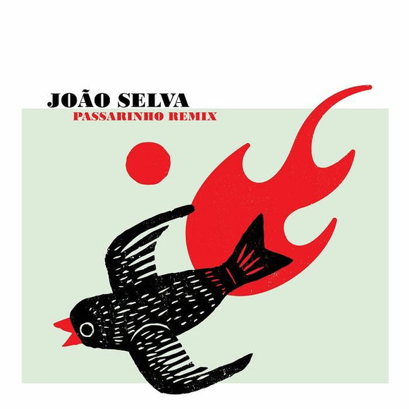João Selva - Passarinho Remix