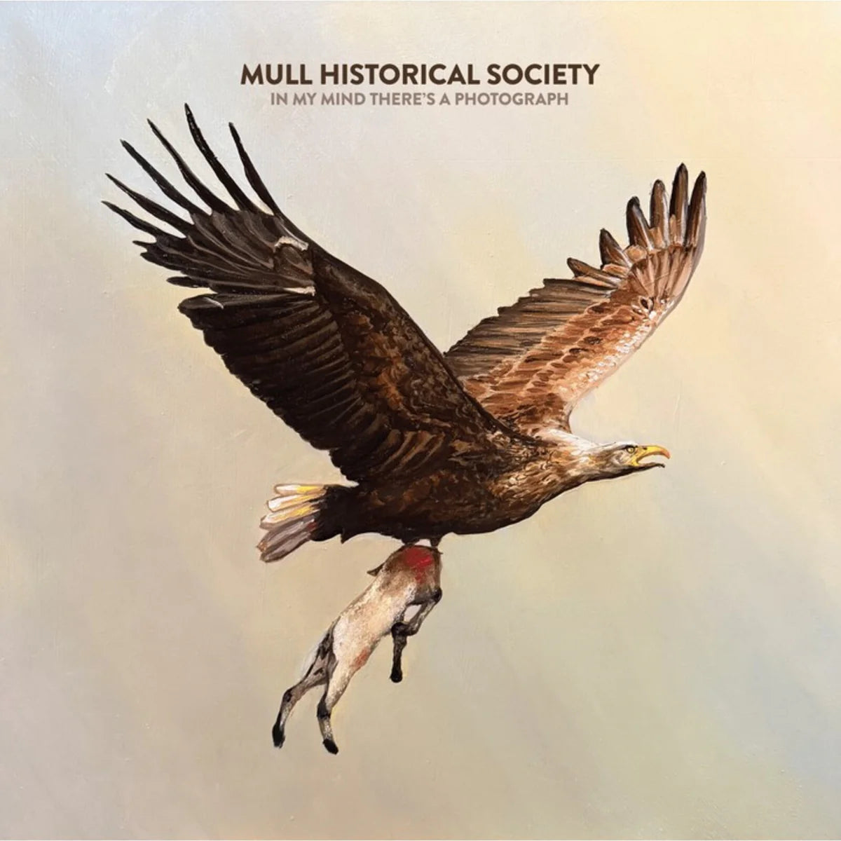 Mull Historical Society - In My Mind There's A Photograph [CD]