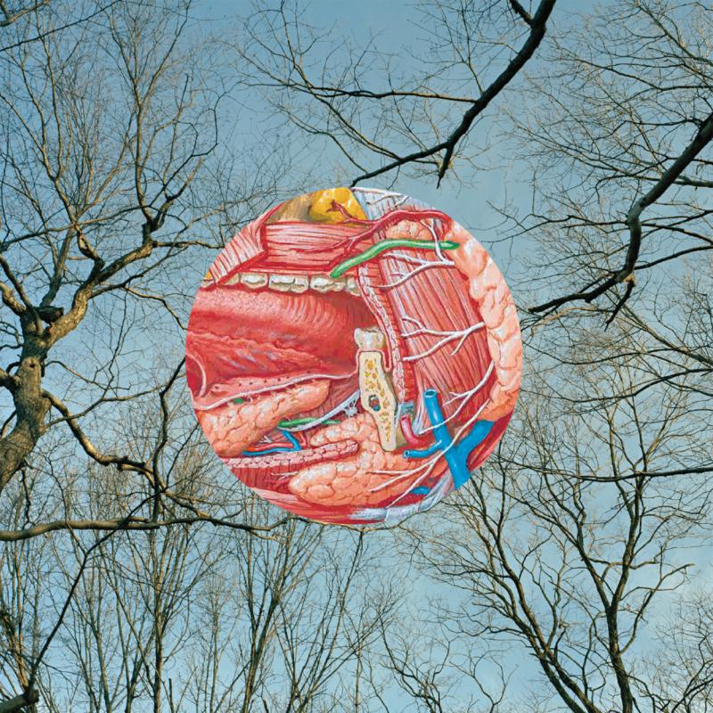They Might Be Giants - Glean [180 gram on clear vinyl with red wisps]