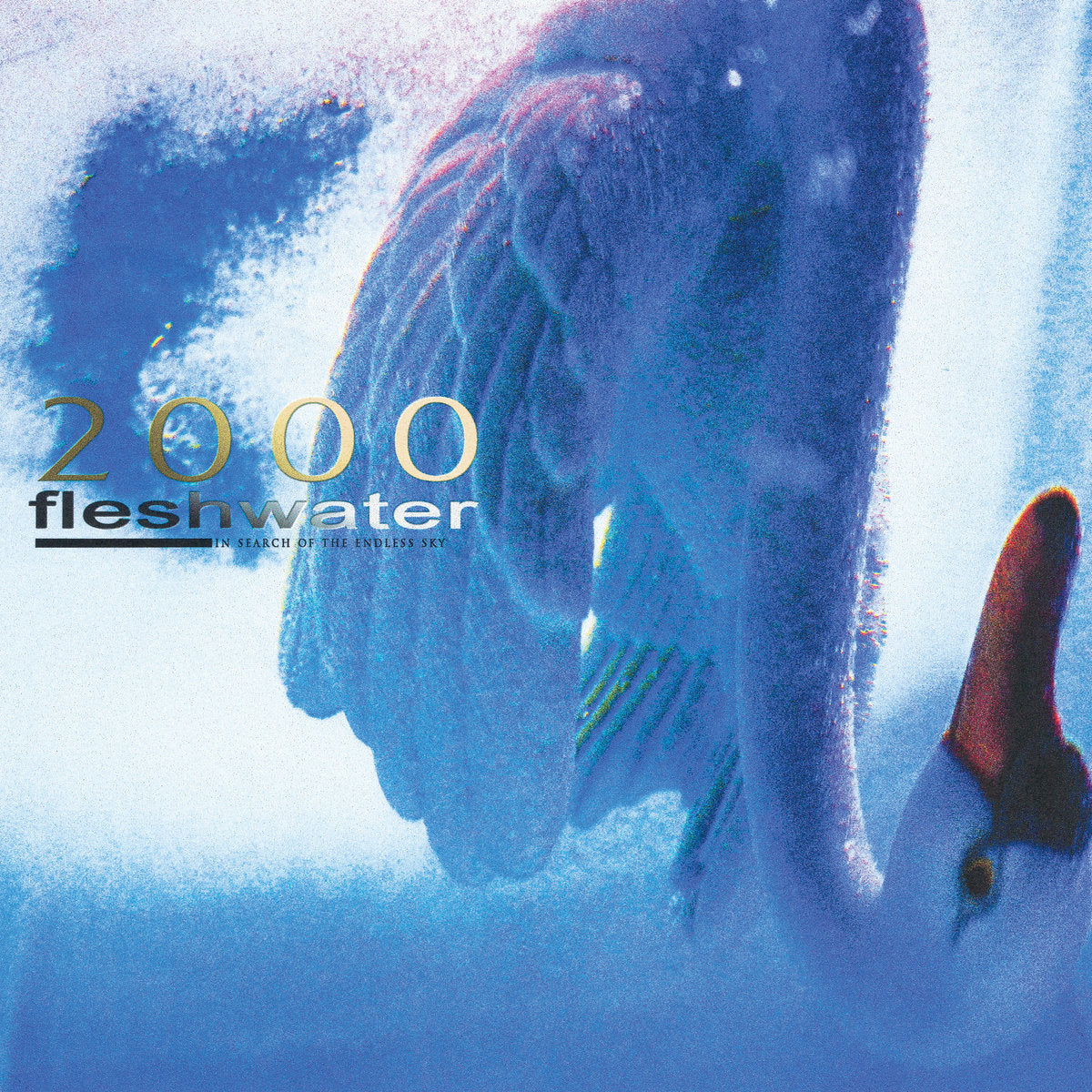 Fleshwater - 2000: In Search Of The Endless Sky [Indies Fluorescent Pink Vinyl]