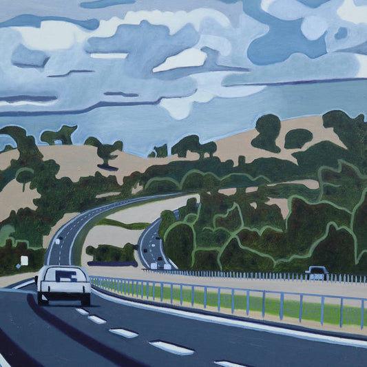 THE SMALL INTESTINES - HIDE IN TIME