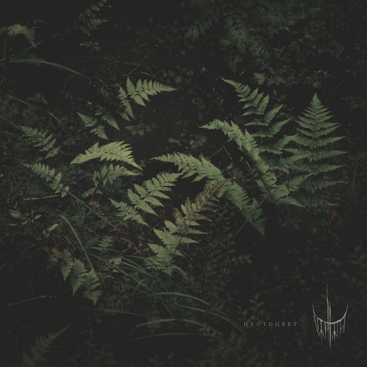 Varhara - Pustotsvet [Green Vinyl]