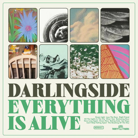 Darlingside - Everything Is Alive [Vinyl]