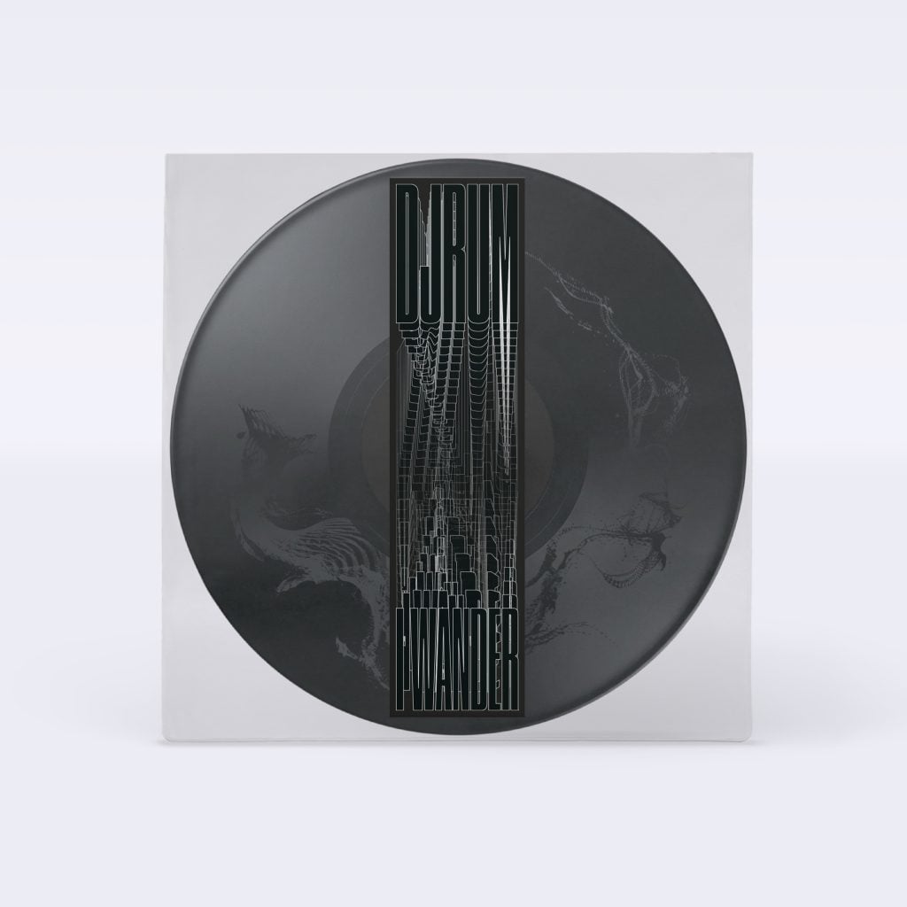 Djrum - I Wander (EP) [Picture Disk]