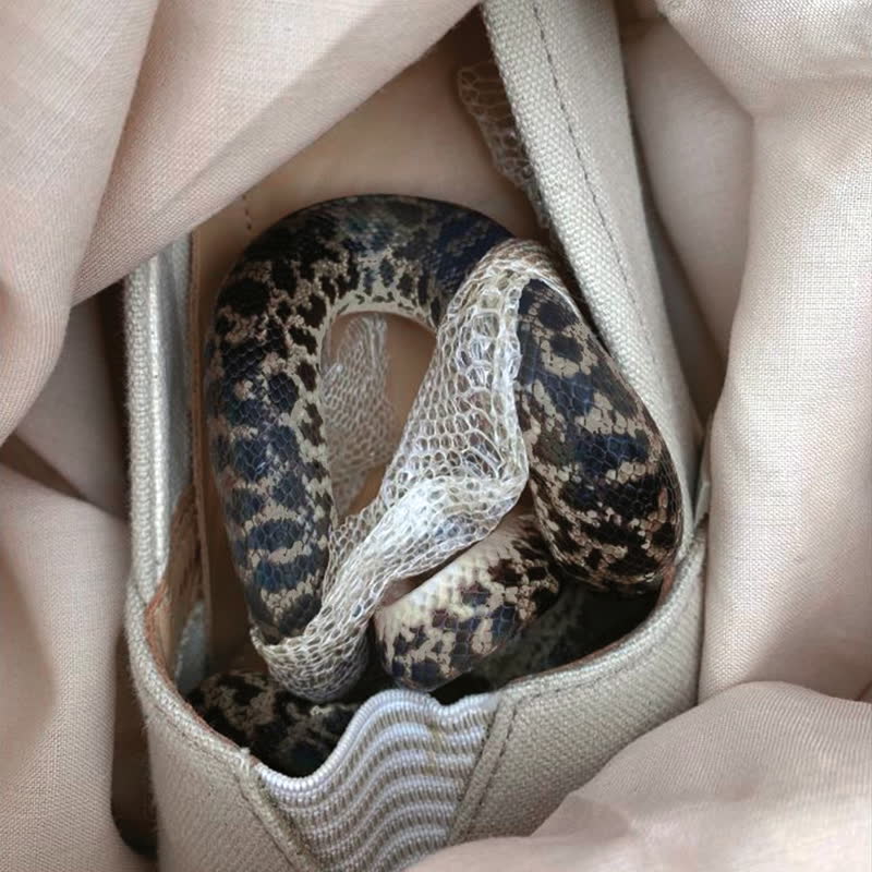 more eaze, pardo & glass - paris paris, texas texas