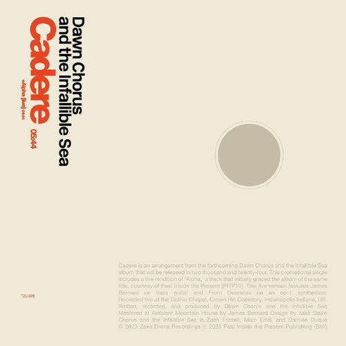 DAWN CHORUS & THE INFALLIBLE SEA - Cadere [3" mini CD single + download code]