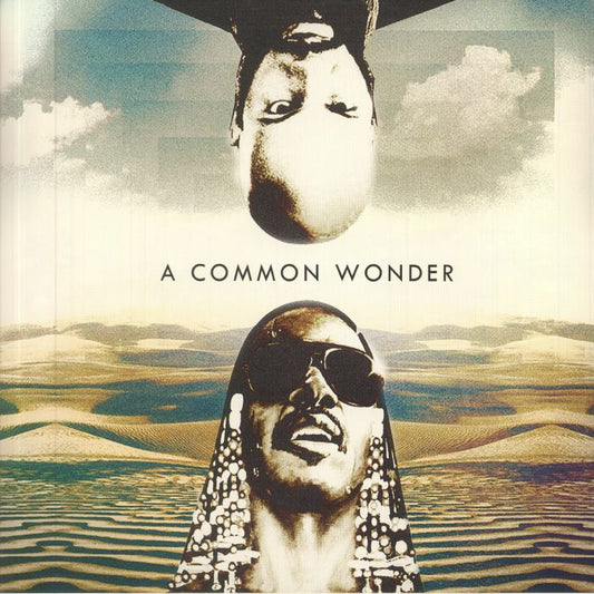 Common vs. Stevie Wonder - A Common Wonder
