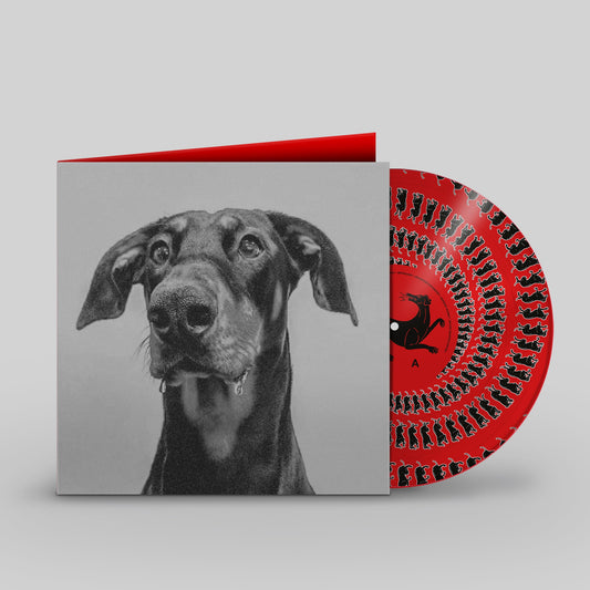 BIG SPECIAL - POSTINDUSTRIAL HOMETOWN BLUES [Zoetrope Coloured Vinyl]