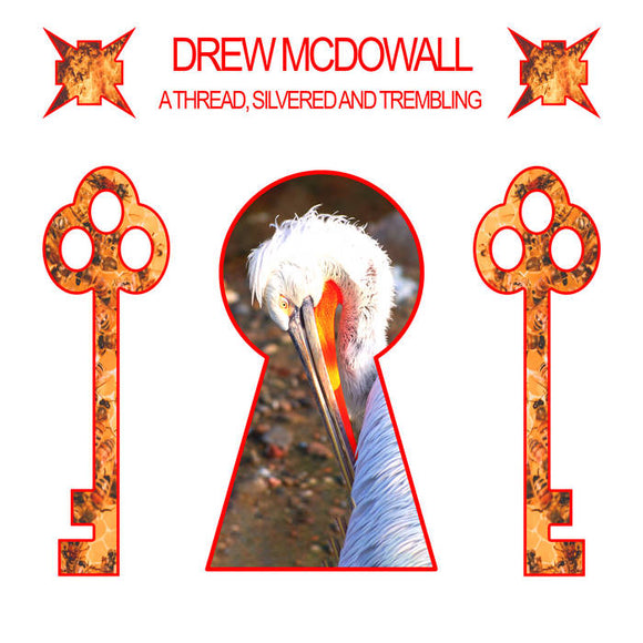 Drew Mcdowall - A Thread, Silvered And Trembling [LP]