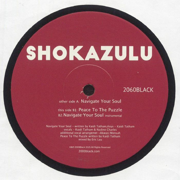SHOKAZULU - Navigate Your Soul