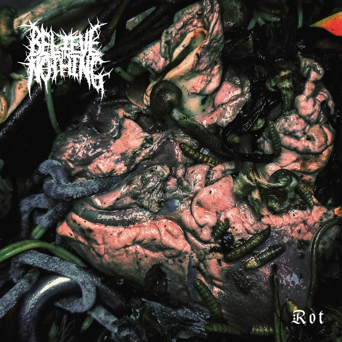 Believe In Nothing - Rot [Colour vinyl]