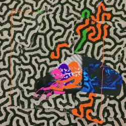 Animal Collective – Tangerine Reef [Coloured Vinyl]