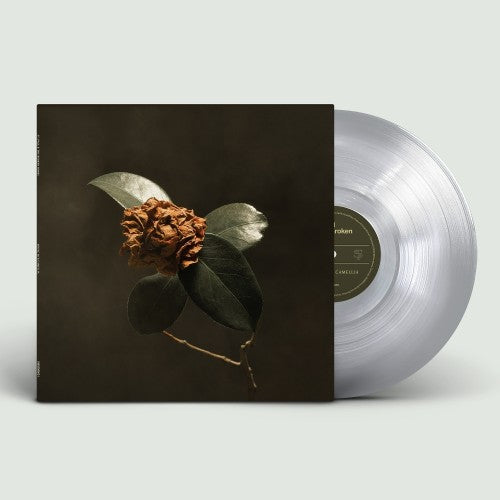St. Paul & The Broken Bones - Young Sick Camellia [Ultra Clear Vinyl]