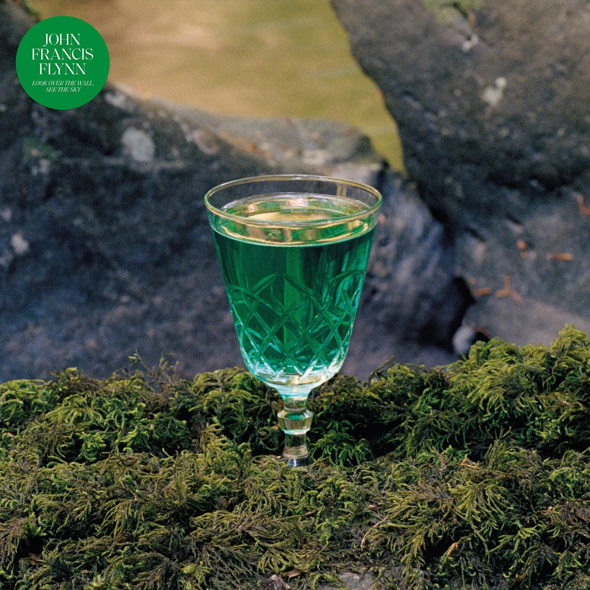 JOHN FRANCIS FLYNN - Look Over The Wall, See The Sky [LP]