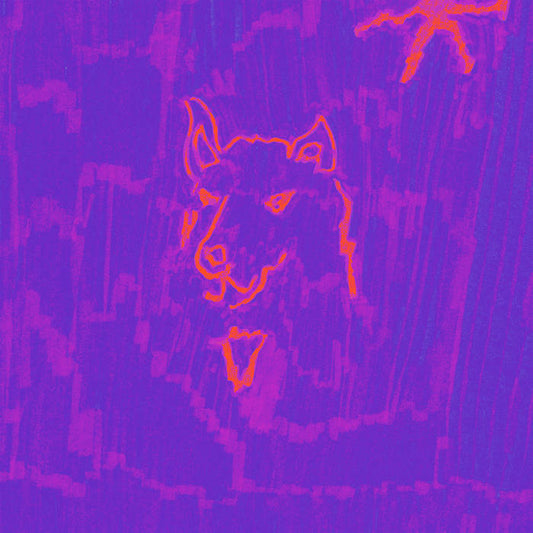 Dehd - Poetry [Plutonium colour vinyl]