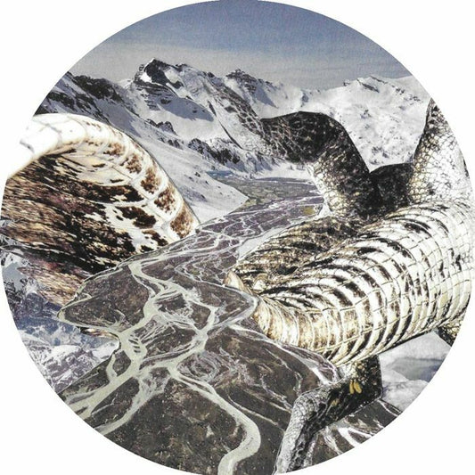 Andy MARTIN / CHRISITAN COIFFURE - Andy Martin / Christian Coiffure Split