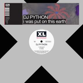 DJ PYTHON - I WAS PUT ON THIS EARTH