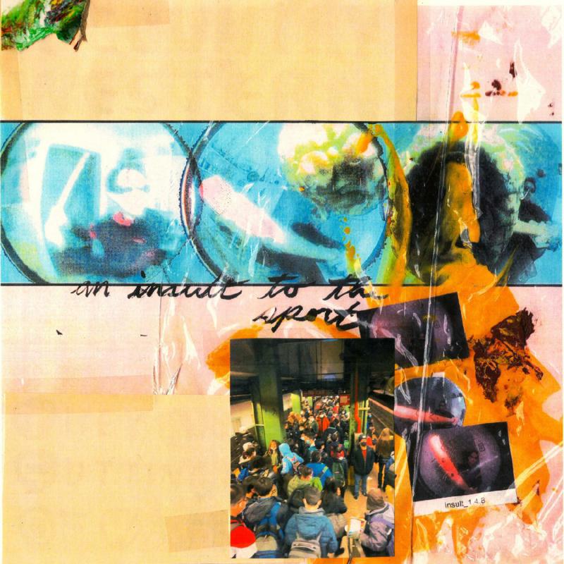 They Are Gutting A Body Of Water / A Country Western - An Insult To The Sport [Blue-in-Purple Vinyl]