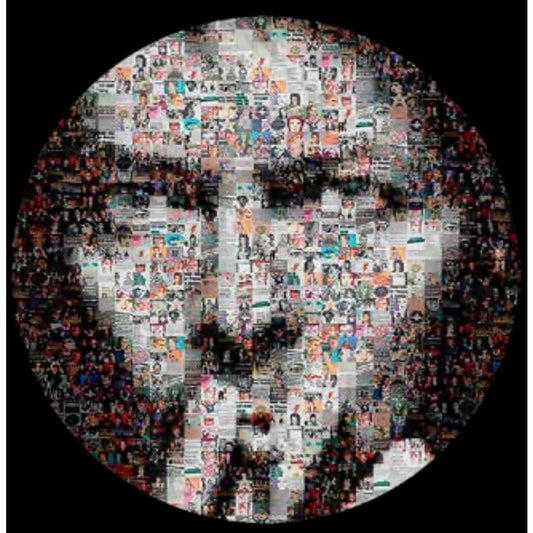 DAVID BOWIE - Covers (Picture Disc)