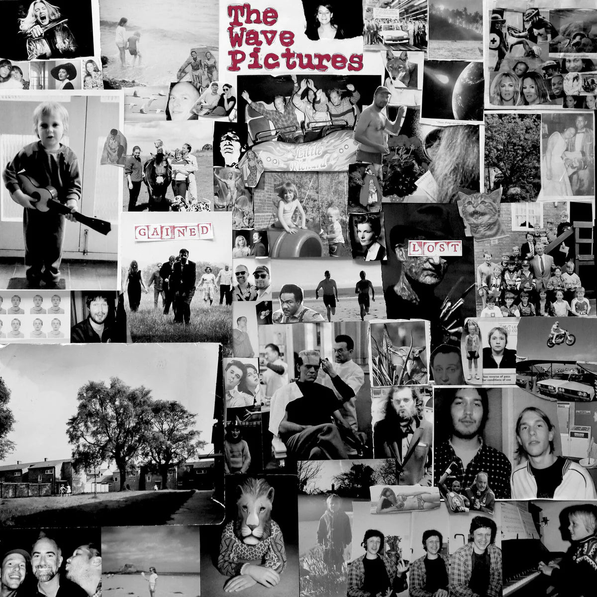 The Wave Pictures - Gained/Lost [Neon Pink LP]