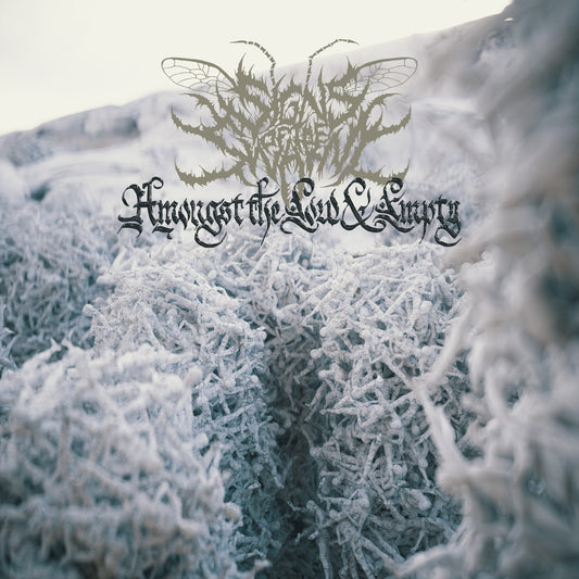 Signs of the Swarm - Amongst The Low & Empty [CD]