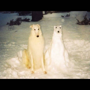 Birth Day - Boyhood [Ultra Clear with Yellow Splatter Vinyl]