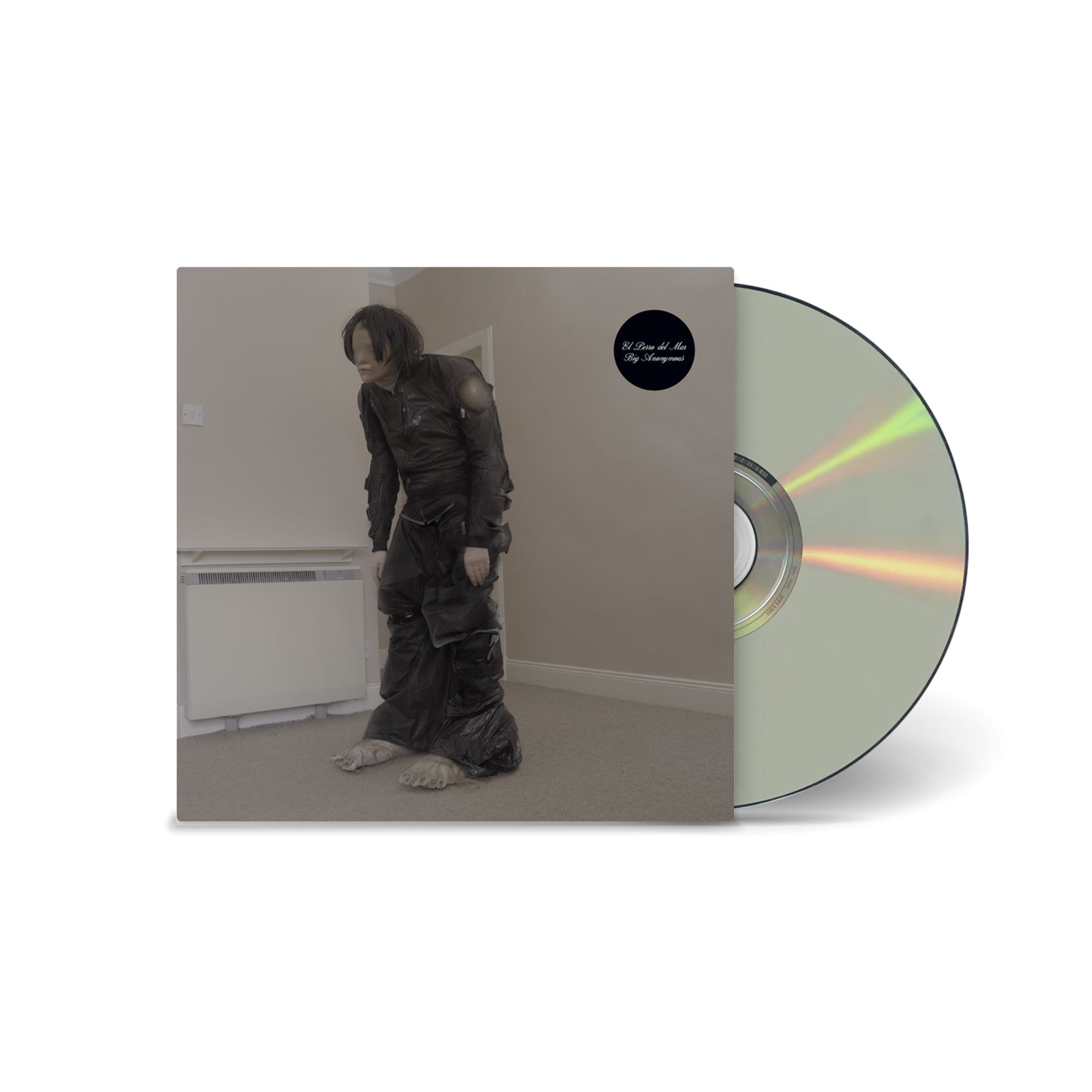 El Perro del Mar - Big Anonymous [CD]