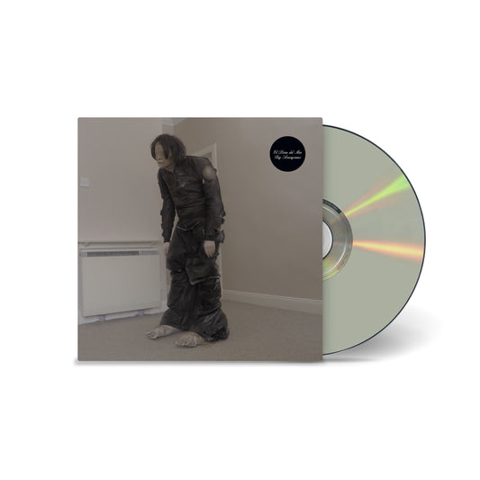 El Perro del Mar - Big Anonymous [CD]