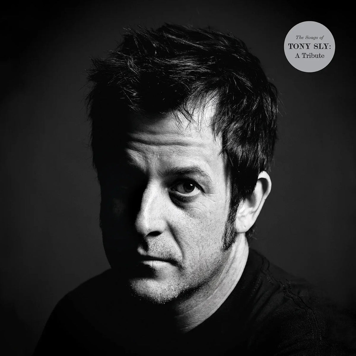 Various Artists - The Songs of Tony Sly: A Tribute [Fiona's blue 2LP]