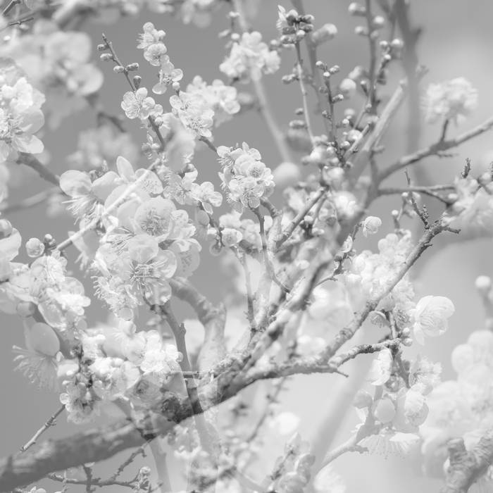 Masabumi Kikuchi - Hanamichi - The Final Studio Recording, Vol. II [CD]