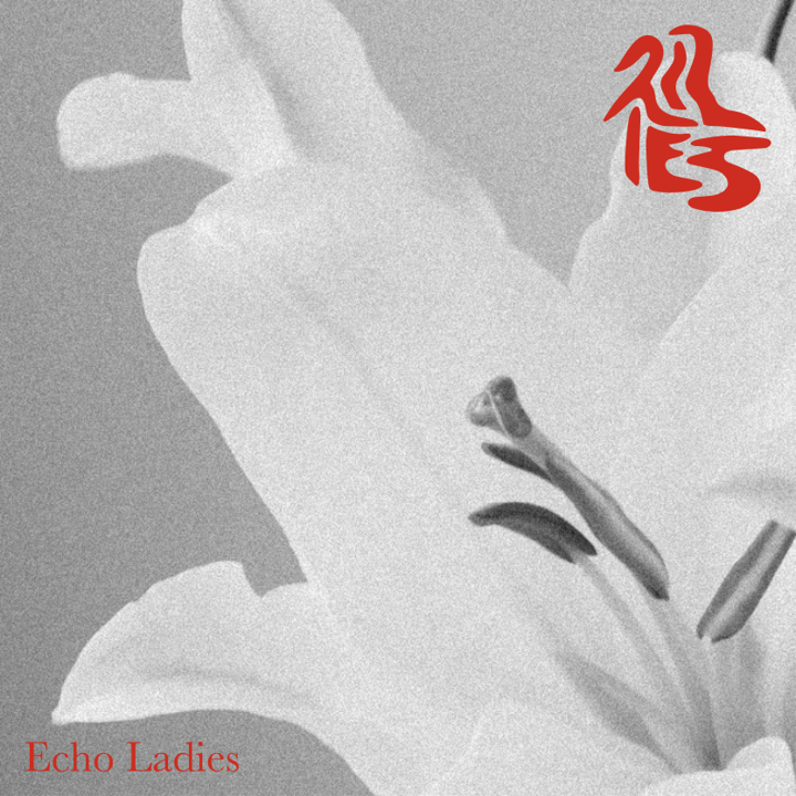 Echo Ladies - Lilies [White Coloured Vinyl]