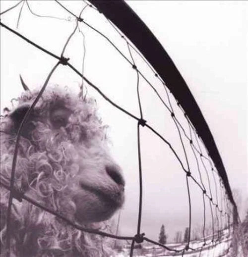 Pearl Jam - vs. Vinyl Edition (Remastered)