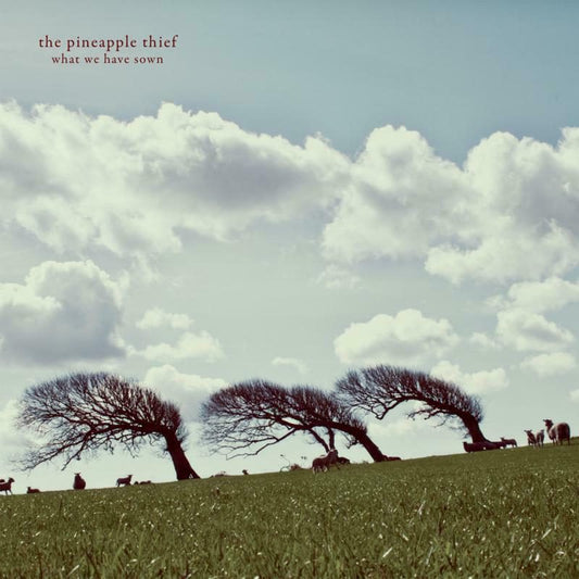 PINEAPPLE THIEF - WHAT WE HAVE SOWN [2LP]