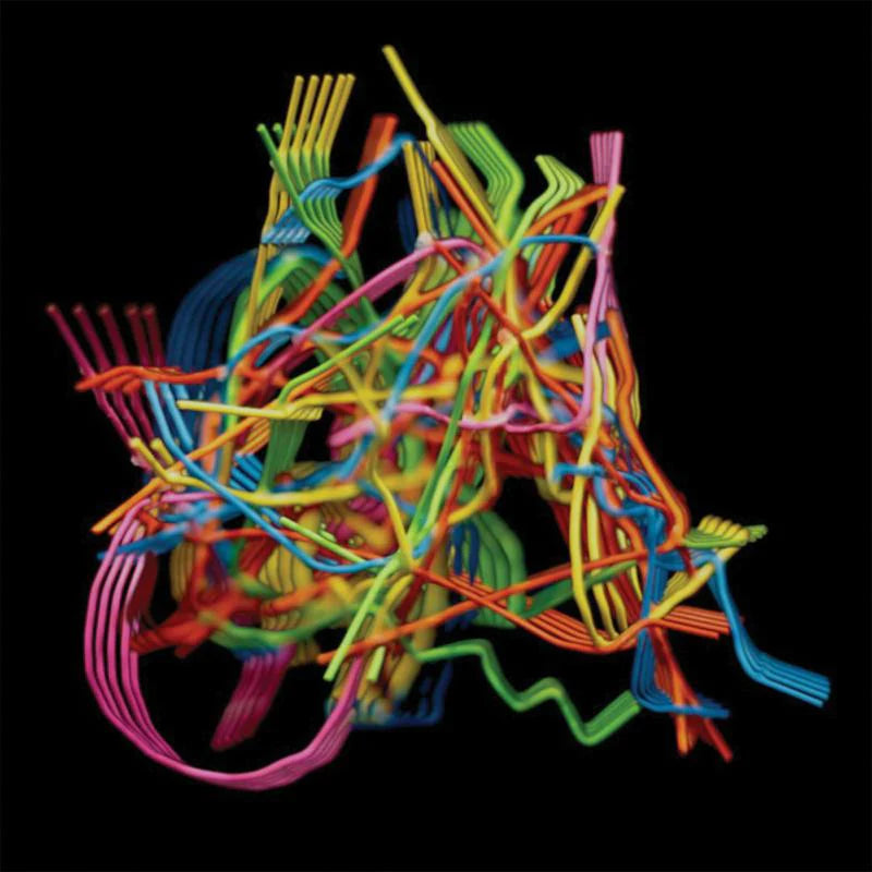 Dustin Wong - Perpetual Morphosis [CD Mini-LP Jacket]