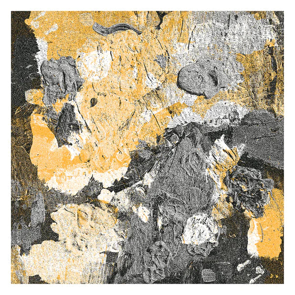 bdrmm - Standard Tuning [10" Vinyl]