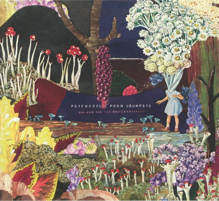 PSYCHEDELIC PORN CRUMPETS - And Now For The Whatchamacallit [CD]