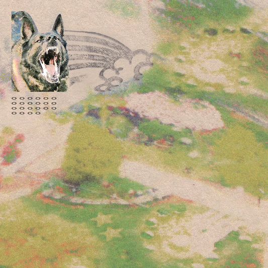 FEEBLE LITTLE HORSE - GIRL WITH FISH [Coloured Vinyl]